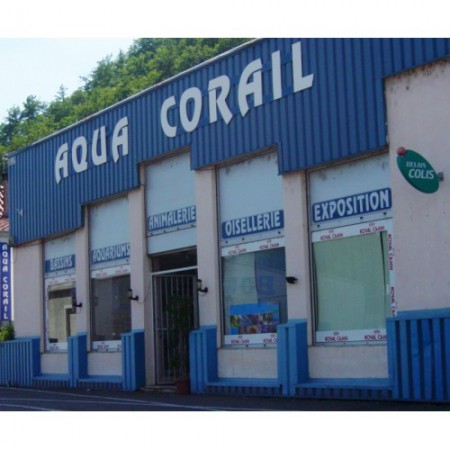 AQUA CORAIL Cahors, animalerie et accessoires pour animaux à Cahors