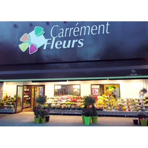 Fleuriste CARREMENT FLEURS Cahors, fleuriste à Cahors, fleurs en tout genre.