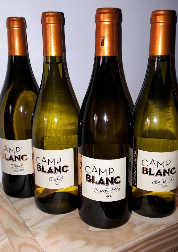 Les caves à vin LAFON Cahors, cave à vin de Cahors, c'est une cave à vin directement au domaine viticole Lafon à Luzech.